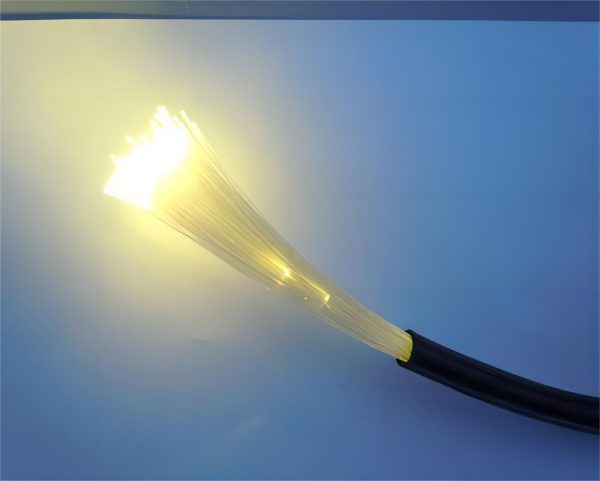 LCV-750 multi-core end glow fiber optic lighting cable